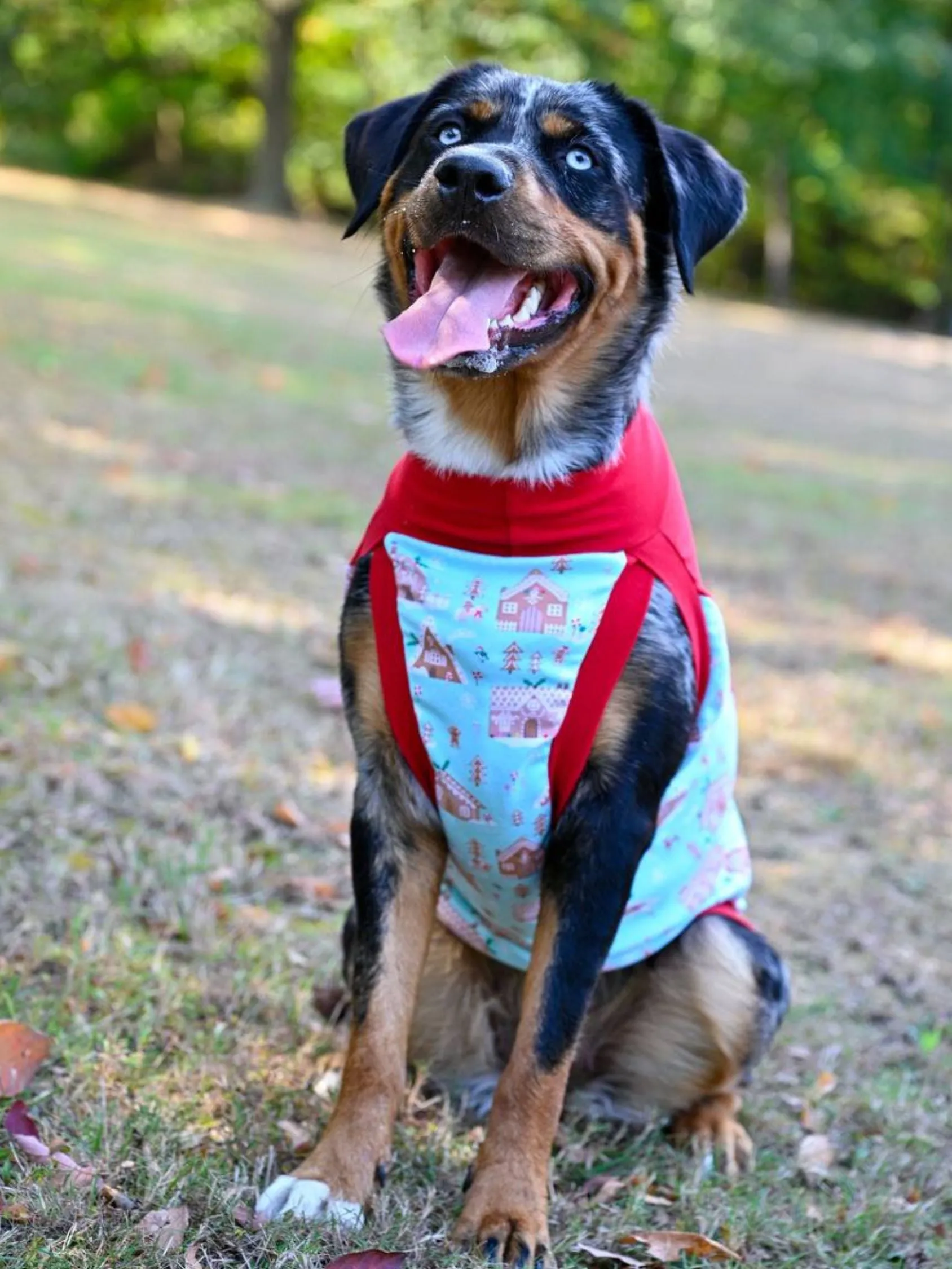 Momma's Holiday Cheer Dog Tank | Custom Vinyl Print